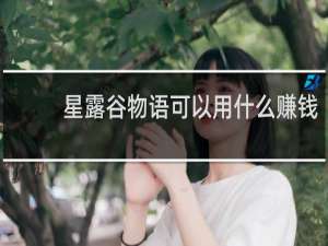 星露谷物语可以用什么赚钱