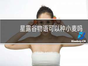 星露谷物语可以种小麦吗