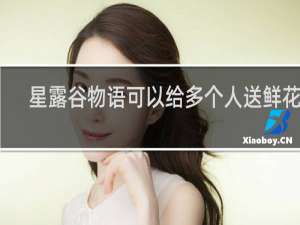 星露谷物语可以给多个人送鲜花吗