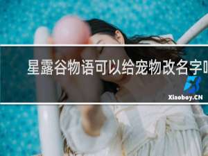 星露谷物语可以给宠物改名字吗