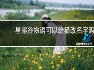 星露谷物语可以给猫改名字吗