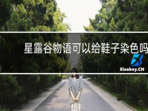 星露谷物语可以给鞋子染色吗