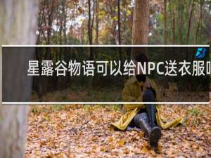 星露谷物语可以给NPC送衣服吗