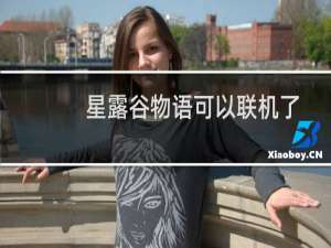 星露谷物语可以联机了