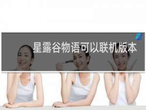星露谷物语可以联机版本