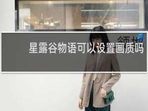 星露谷物语可以设置画质吗