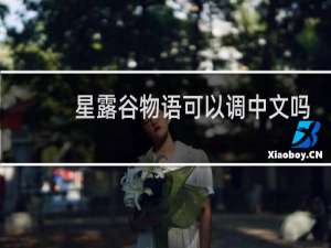 星露谷物语可以调中文吗