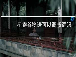 星露谷物语可以调按键吗