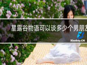 星露谷物语可以谈多少个男朋友
