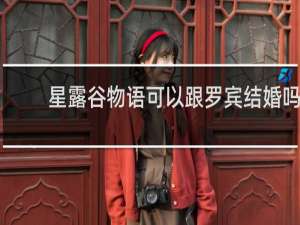 星露谷物语可以跟罗宾结婚吗