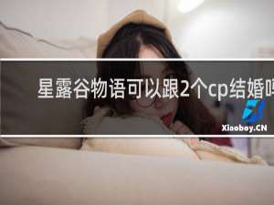 星露谷物语可以跟2个cp结婚吗