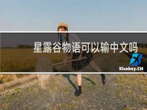 星露谷物语可以输中文吗
