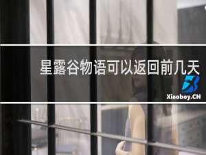 星露谷物语可以返回前几天