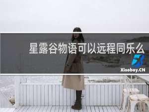星露谷物语可以远程同乐么