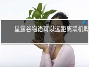 星露谷物语可以远距离联机吗