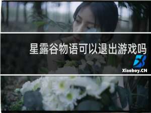 星露谷物语可以退出游戏吗