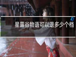 星露谷物语可以退多少个档