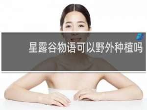 星露谷物语可以野外种植吗
