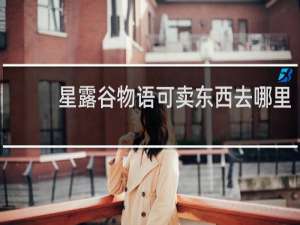 星露谷物语可卖东西去哪里