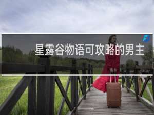 星露谷物语可攻略的男主