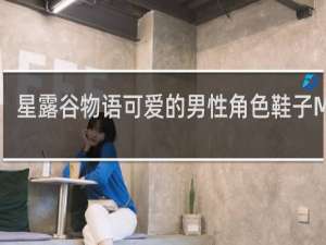 星露谷物语可爱的男性角色鞋子MOD