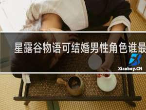 星露谷物语可结婚男性角色谁最好