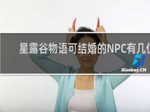 星露谷物语可结婚的NPC有几位