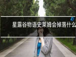 星露谷物语史莱姆会掉落什么
