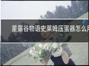 星露谷物语史莱姆压蛋器怎么用