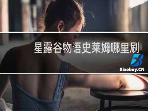 星露谷物语史莱姆哪里刷