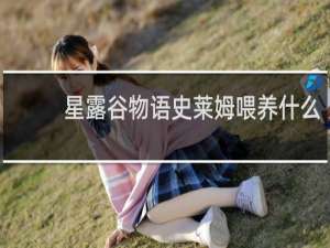 星露谷物语史莱姆喂养什么