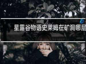 星露谷物语史莱姆在矿洞哪层