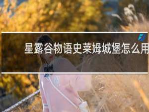 星露谷物语史莱姆城堡怎么用