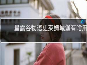 星露谷物语史莱姆城堡有啥用