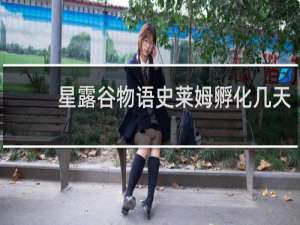 星露谷物语史莱姆孵化几天