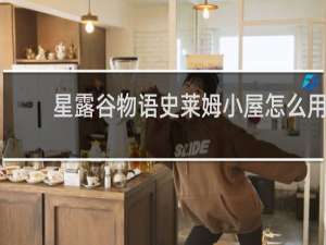 星露谷物语史莱姆小屋怎么用