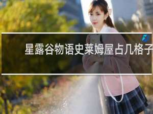 星露谷物语史莱姆屋占几格子