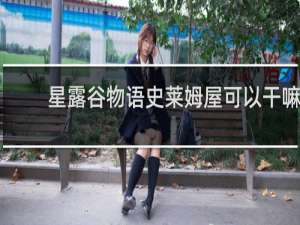 星露谷物语史莱姆屋可以干嘛
