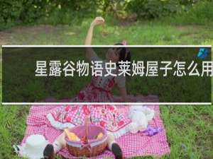 星露谷物语史莱姆屋子怎么用