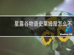 星露谷物语史莱姆屋怎么不