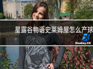 星露谷物语史莱姆屋怎么产球