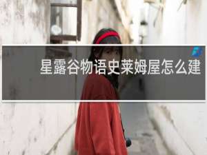 星露谷物语史莱姆屋怎么建