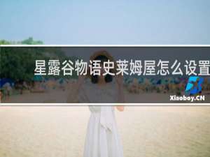 星露谷物语史莱姆屋怎么设置