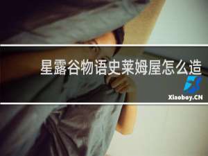 星露谷物语史莱姆屋怎么造