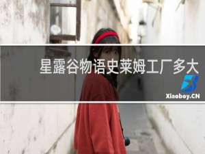 星露谷物语史莱姆工厂多大