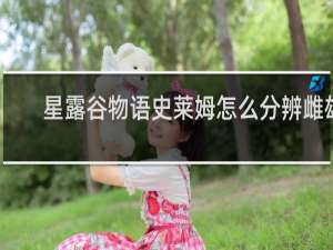 星露谷物语史莱姆怎么分辨雌雄