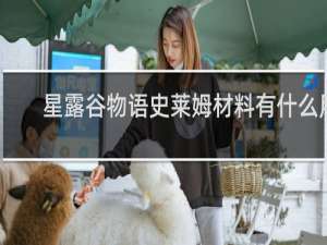 星露谷物语史莱姆材料有什么用