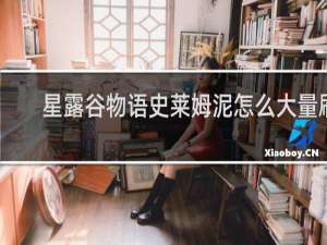 星露谷物语史莱姆泥怎么大量刷