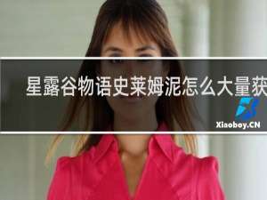 星露谷物语史莱姆泥怎么大量获得