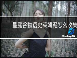 星露谷物语史莱姆泥怎么收集